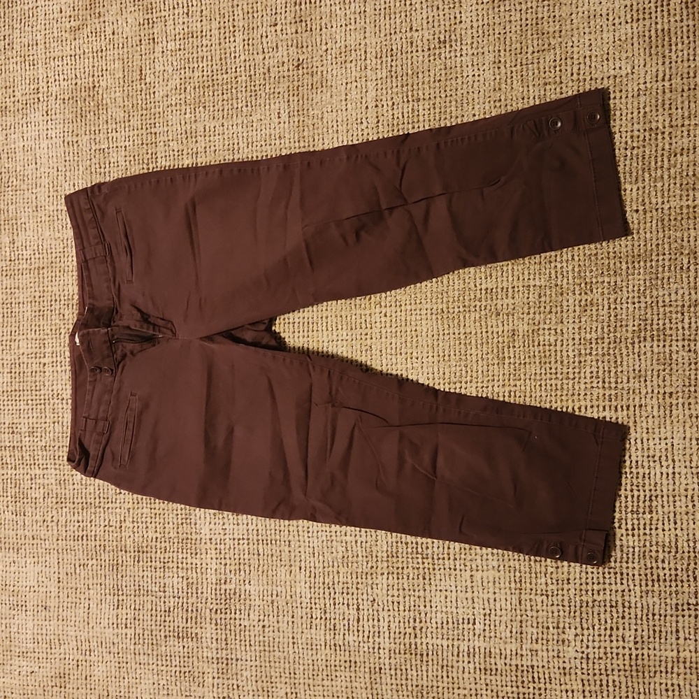 Ann Taylor Loft Marisa Capri pants in a mauve color size 6